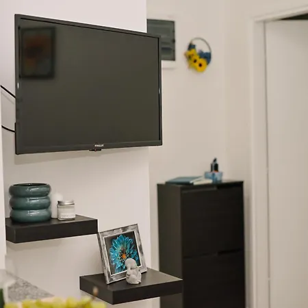 Cute And Charming In - New 2023