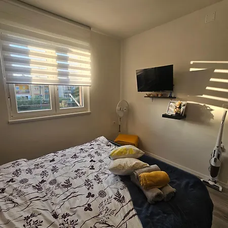 Cute And Charming In - New 2023