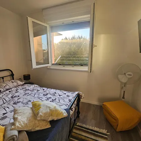 Cute And Charming In - New 2023