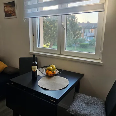 Cute And Charming In - New 2023